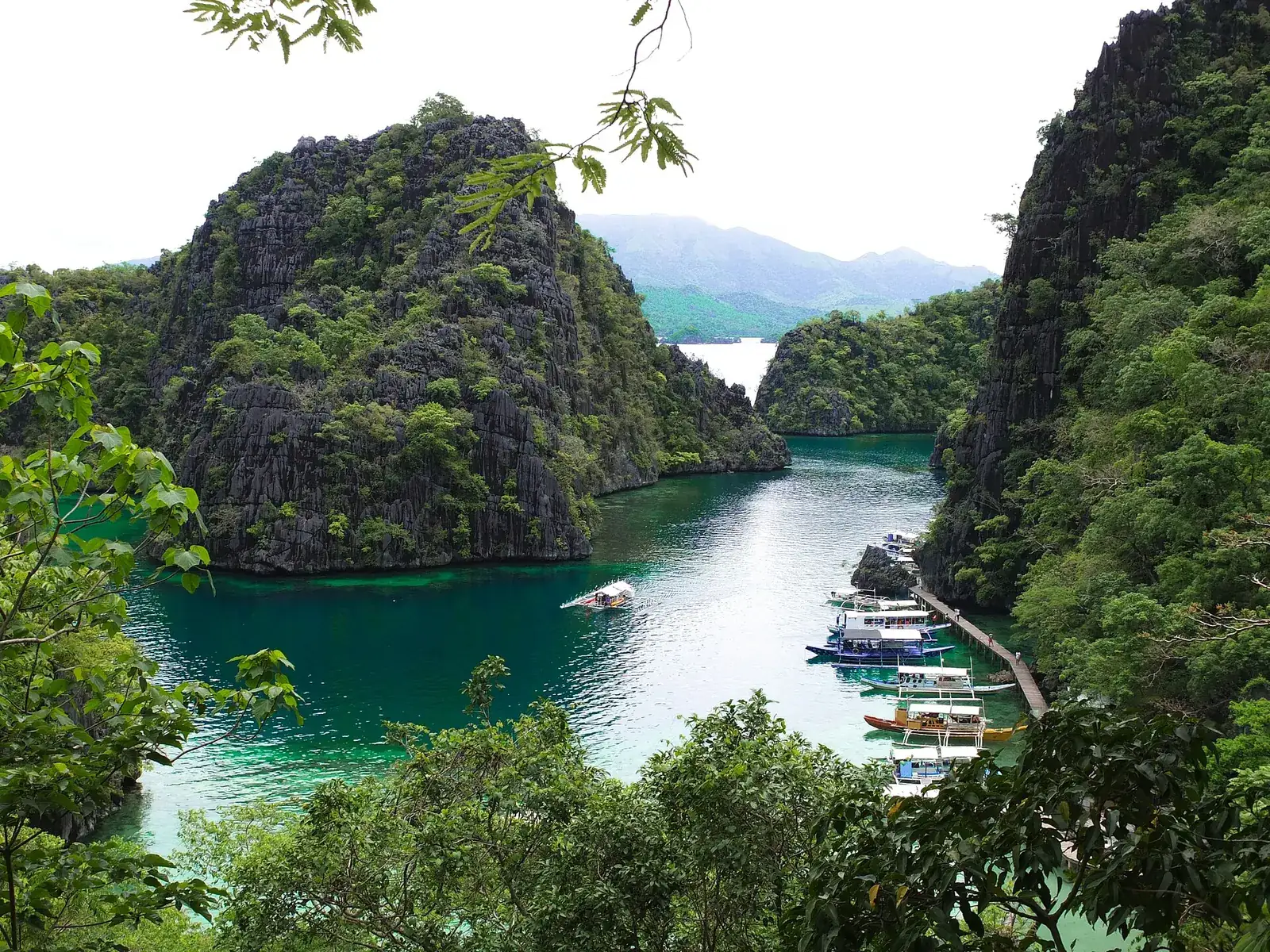 Kayangan Lake in Coron framed by jungle and limestone peaks