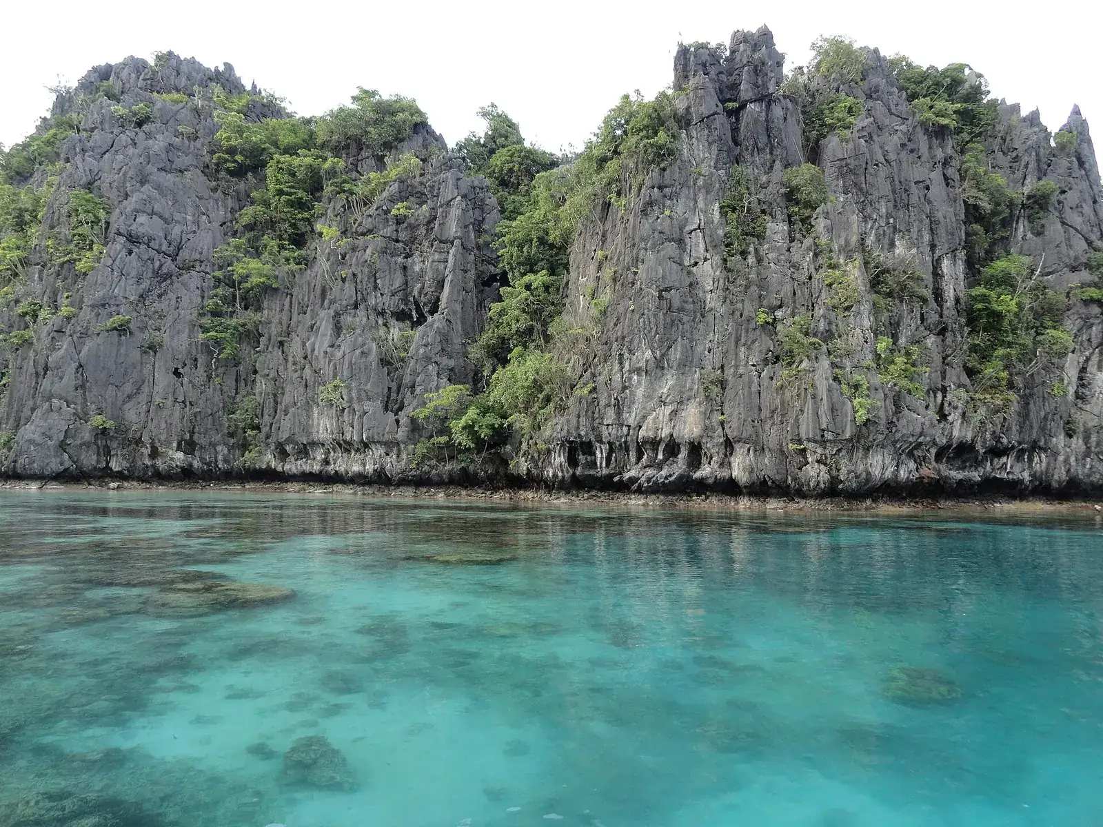 Clear water over coral